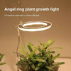 Kiora™ Grow Lights for Indoor Plants