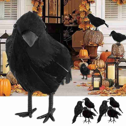 Black Crow Animal Model
