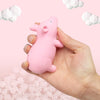 Fidget Toys Pop Cute Pig Decompression Toy